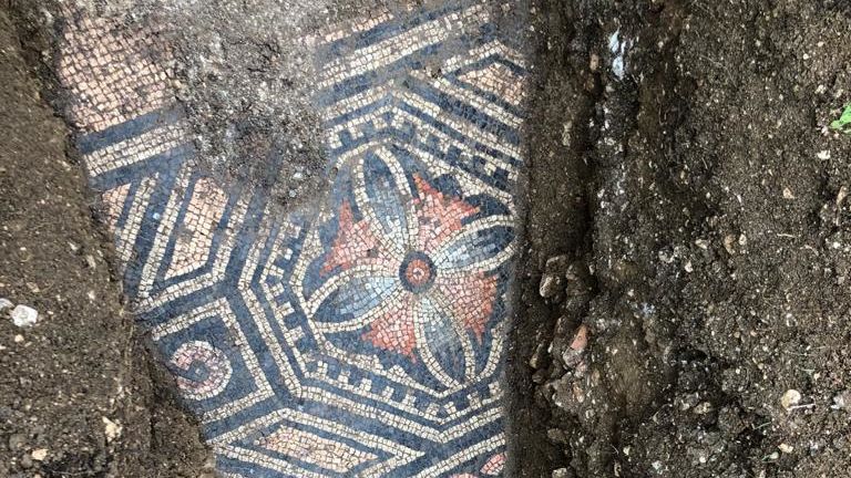 Pod italskou vinicí odkryli působivou římskou mozaiku